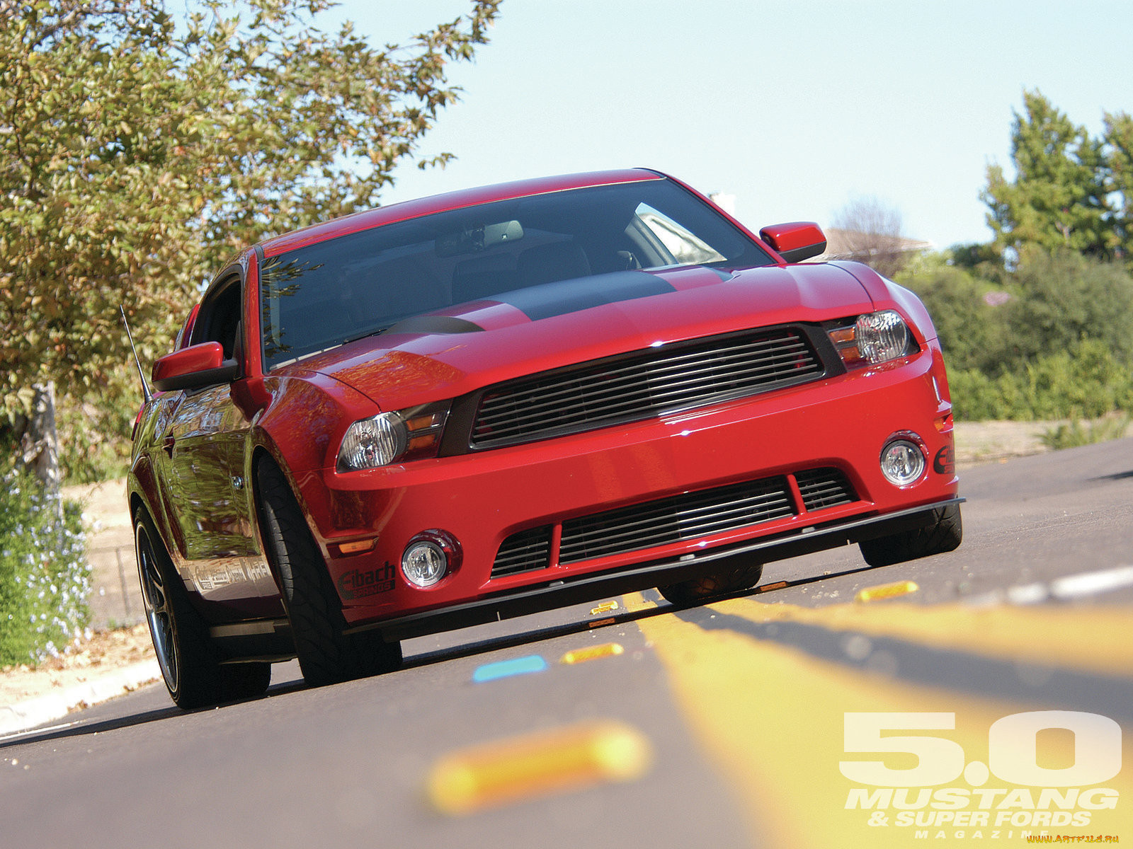 , mustang